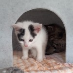 20210710_114203_resized