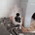 20210710_114221_resized