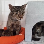 20210715_103243_resized_1