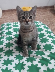 20210728_101839_resized