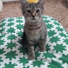 20210728_101839_resized