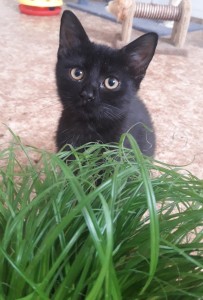 20210728_101940_resized