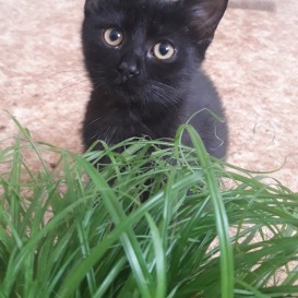 20210728_101940_resized