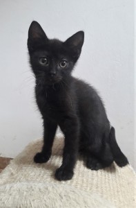 20210728_102240_resized