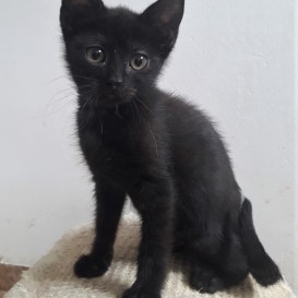 20210728_102240_resized