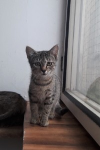 20210728_102429_resized