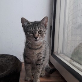 20210728_102429_resized