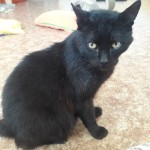 20210802_143342_resized