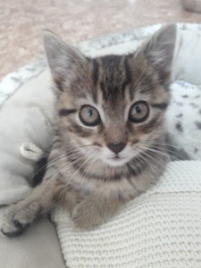 20210802_143556_resized