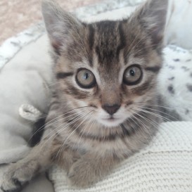 20210802_143556_resized