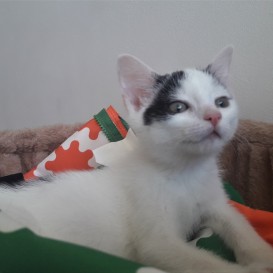 20210802_143751_resized