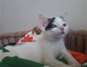 20210802_143751_resized