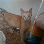 20210802_143944_resized