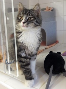 20210805_174735_resized