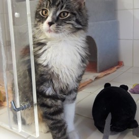 20210805_174735_resized