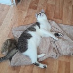 20210811_122050_resized