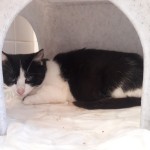 20210811_123004_resized