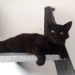 20210811_170019_resized