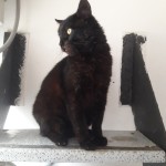 20210811_170045_resized