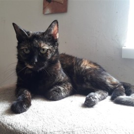 20210812_113437_resized