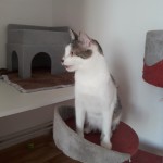 20210812_124357_resized