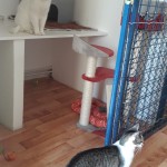 20210812_124521_resized