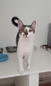 20210812_124557_resized