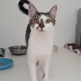 20210812_124557_resized