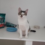 20210812_124611_resized