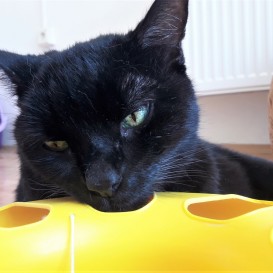 20210814_132712_resized