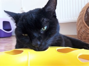 20210814_132712_resized