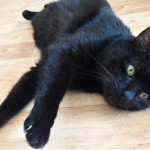 20210814_133232_resized