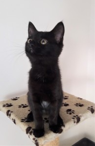 20210816_141645_resized