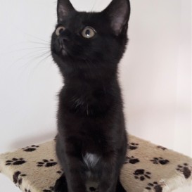 20210816_141645_resized