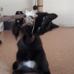 20210816_142842_resized