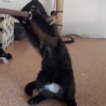 20210816_142844_resized