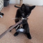 20210816_142848_resized