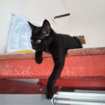 20210816_143350_resized