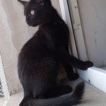 20210816_143521_resized