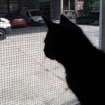 20210816_143604_resized