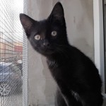 20210816_143616_resized