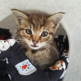 20210817_120201(0)_resized