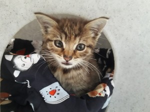 20210817_120201(0)_resized