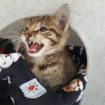 20210817_120205_resized