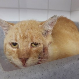 20210820_120935_resized