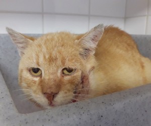 20210820_120935_resized