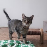 20210820_145933_resized