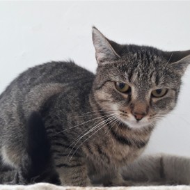 20210821_122442_resized