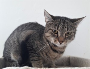 20210821_122442_resized