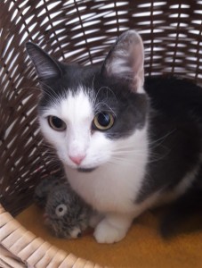 20210821_171136_resized